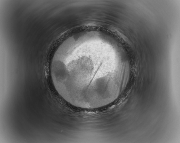 X0000096220821200802151520