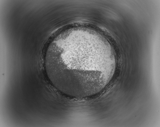 X0000096220822200802151520