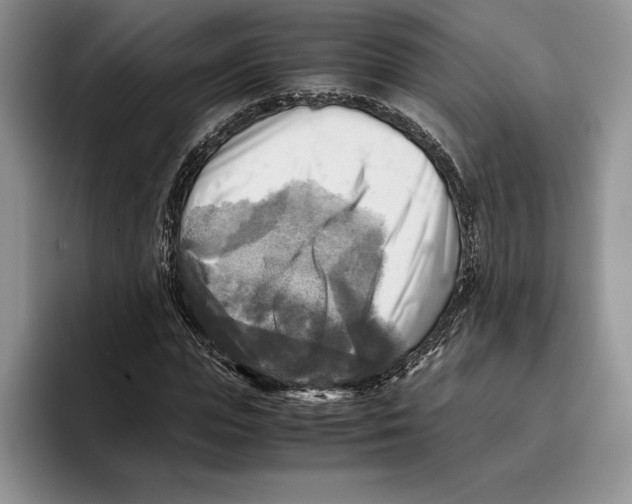 X0000096220823200802151520