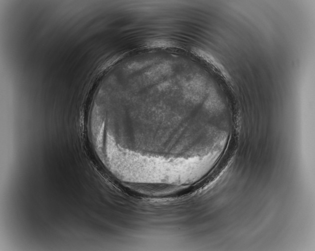 X0000096220825200802151520