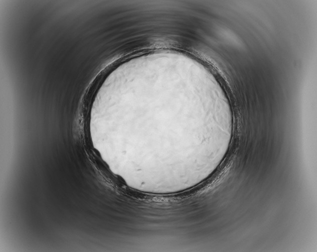 X0000096220827200802151520