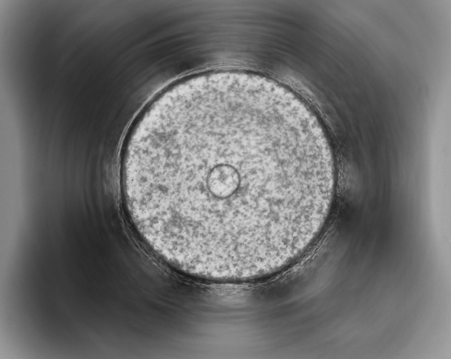 X0000096220836200802151520