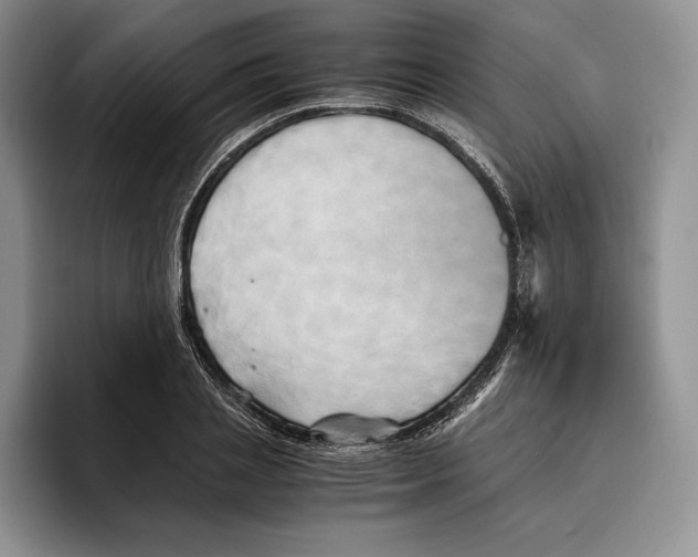 X0000096220837200802151520