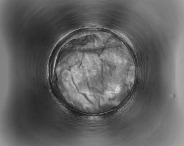 X0000096220839200802151520