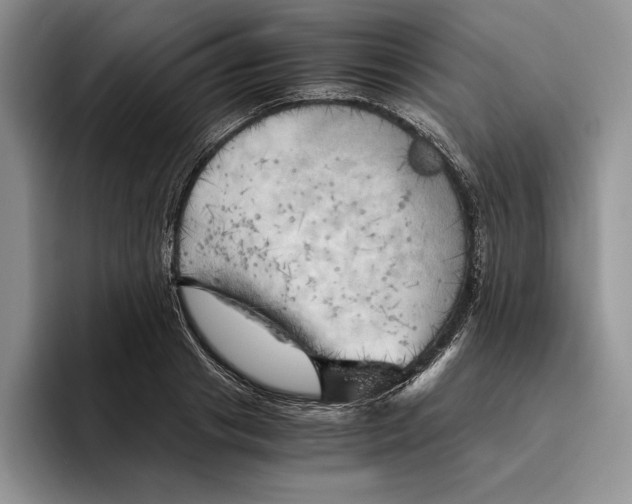 X0000096220841200802151520