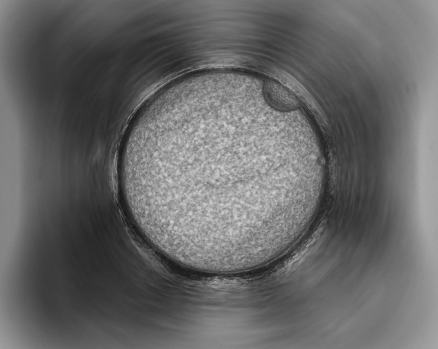 X0000096220842200802151520