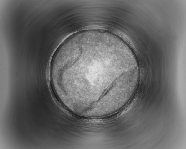 X0000096220844200802151520