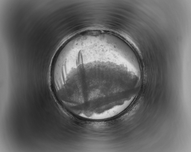 X0000096220845200802151520