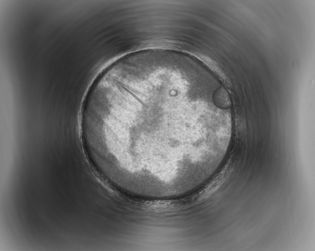 X0000096220846200802151520