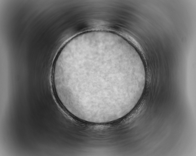 X0000096220847200802151520