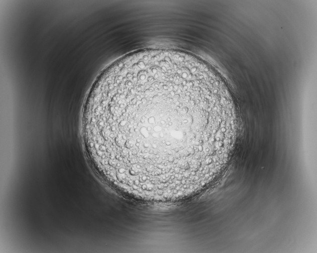 X0000096220848200802151520