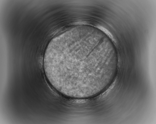 X0000096220849200802151520