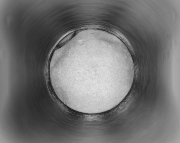 X0000096220852200802151520