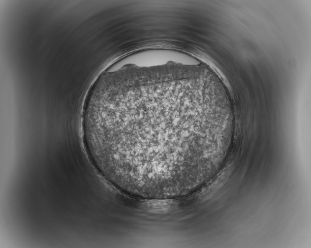 X0000096220853200802151520
