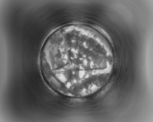 X0000096220855200802151521