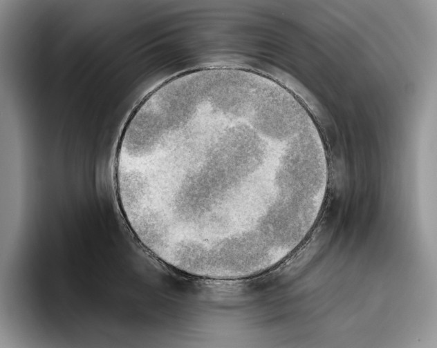 X0000096220856200802151521