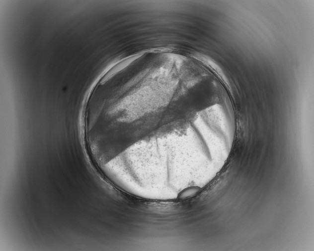 X0000096220859200802151521