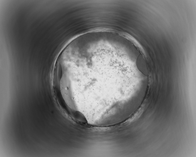 X0000096220860200802151521