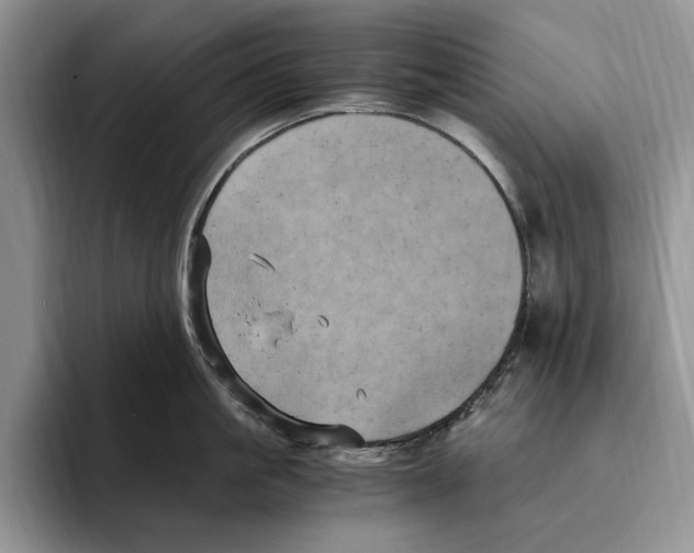 X0000096220861200802151521