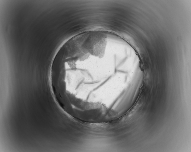 X0000096220863200802151521