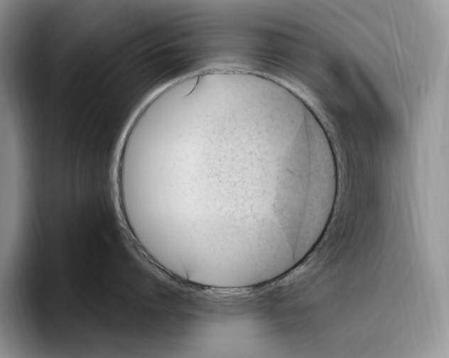 X0000096220864200802151521