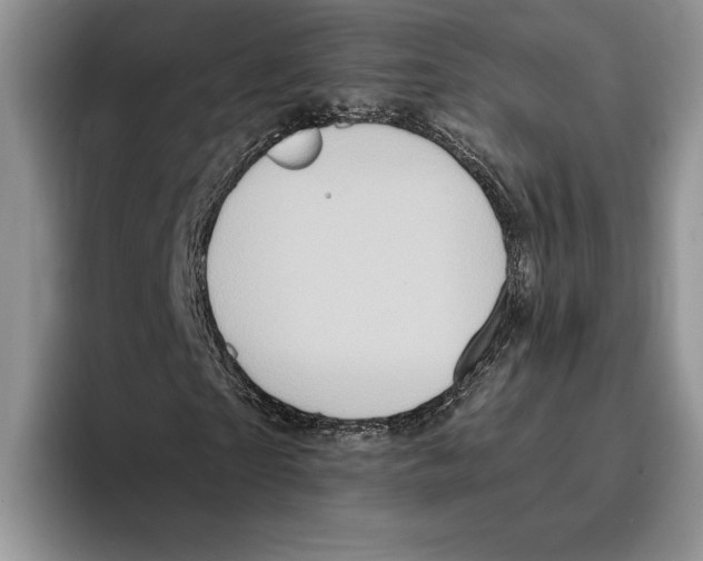 X0000096220865200802151520