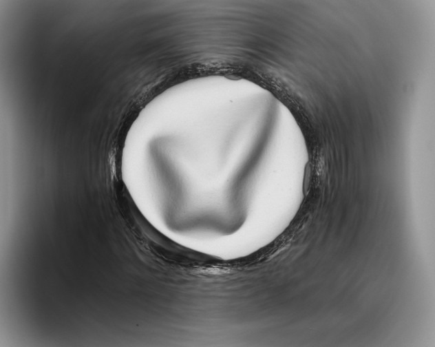 X0000096220868200802151520