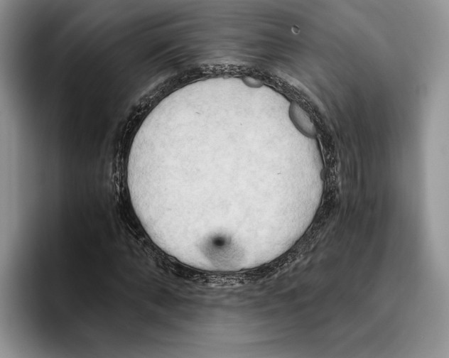 X0000096220870200802151520