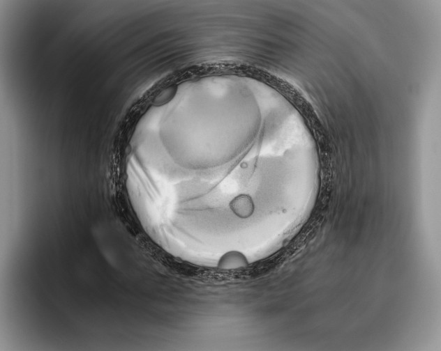 X0000096220871200802151520