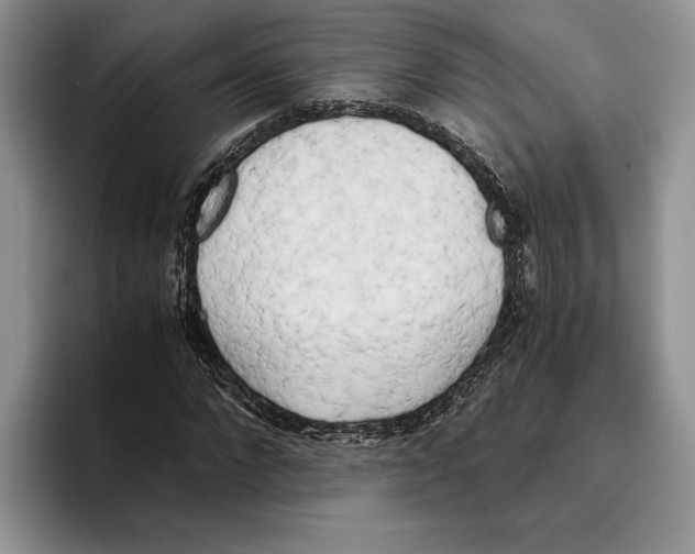 X0000096220872200802151520