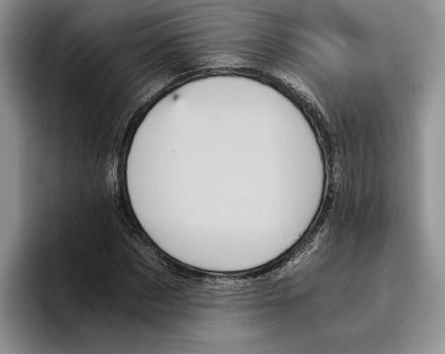 X0000096220873200802151520