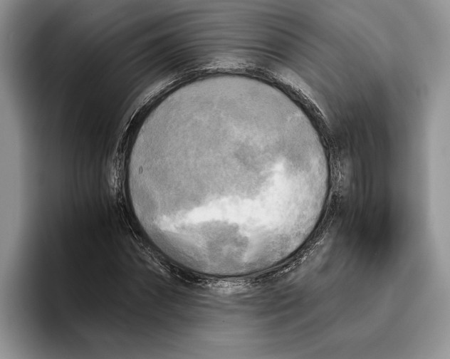 X0000096220874200802151520