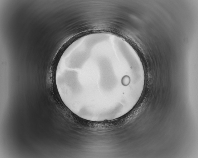 X0000096220875200802151520