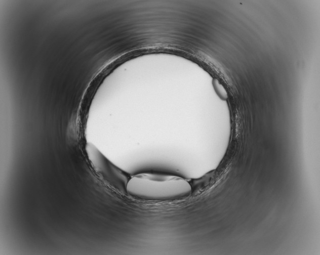 X0000096220876200802151520