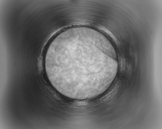 X0000096220878200802151520