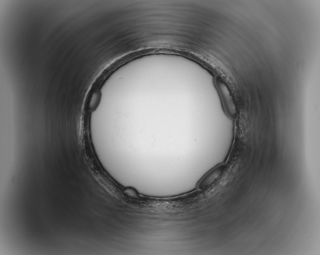 X0000096220880200802151520