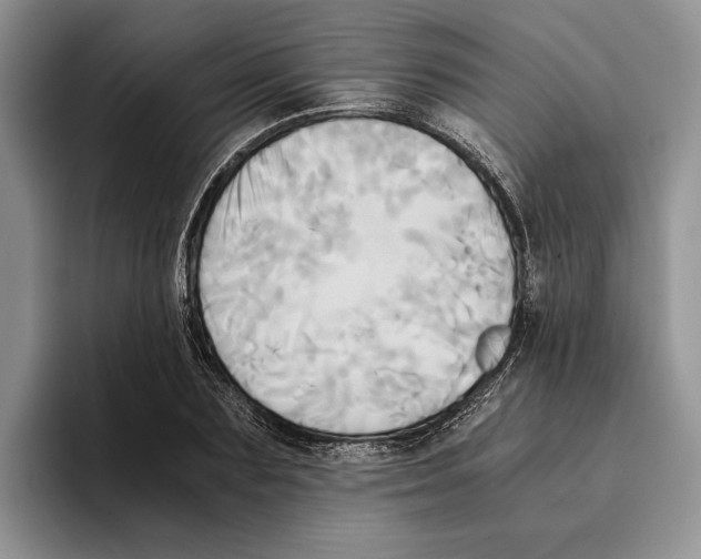 X0000096220883200802151520