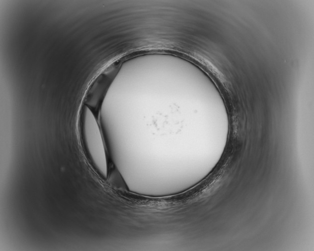 X0000096220885200802151520