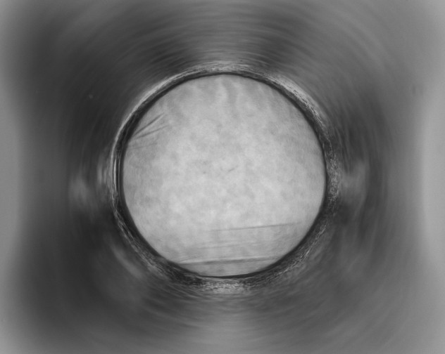 X0000096220886200802151520