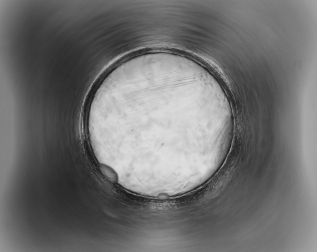 X0000096220887200802151520