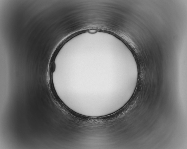 X0000096220888200802151520