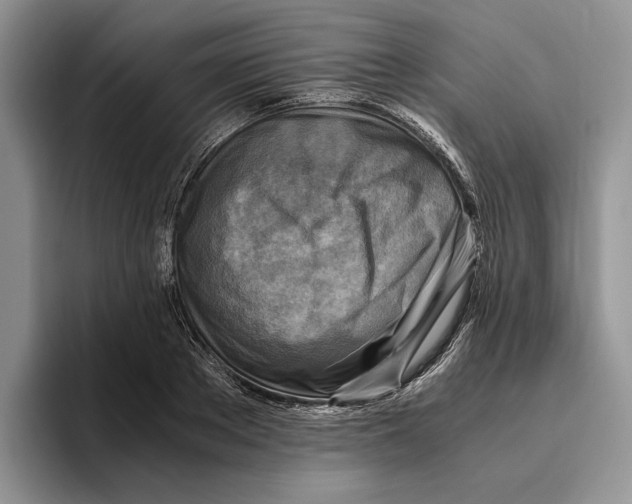 X0000096220889200802151520