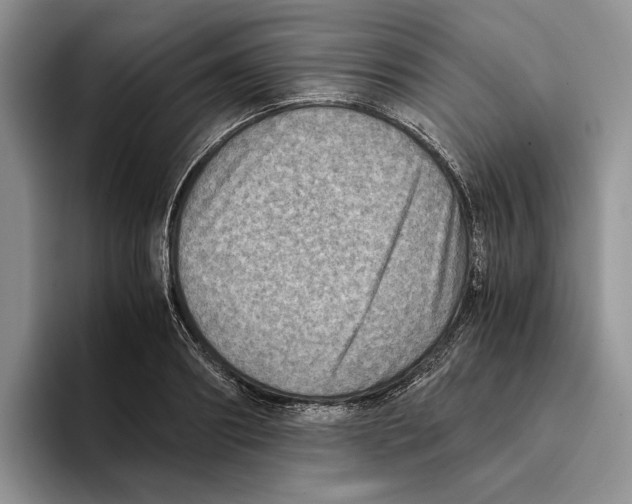 X0000096220890200802151520