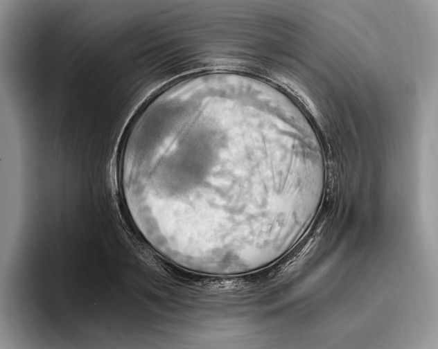 X0000096220891200802151520