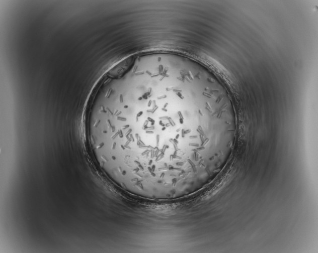 X0000096220892200802151520