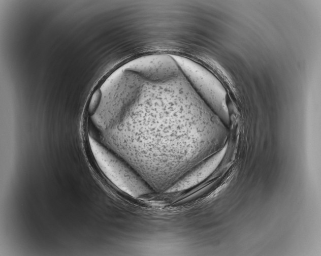 X0000096220893200802151520