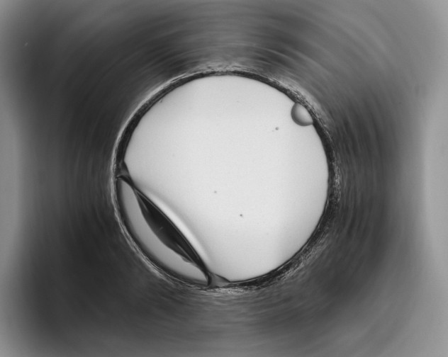 X0000096220894200802151520