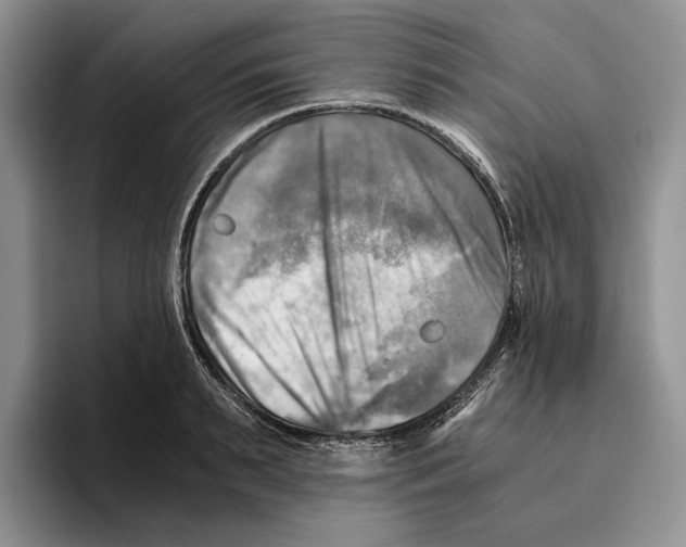 X0000096220895200802151520