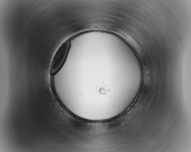 X0000096220896200802151520