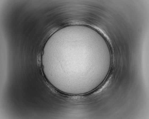 X0000096220897200802151520